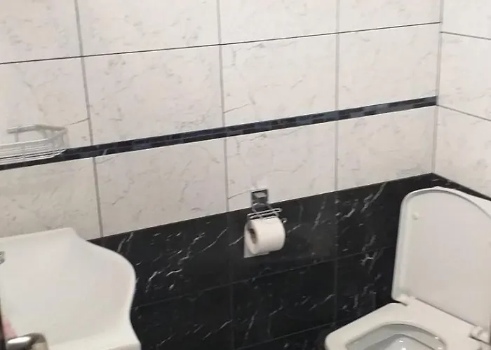 Apartman A3 Small Cute Single Pancsova